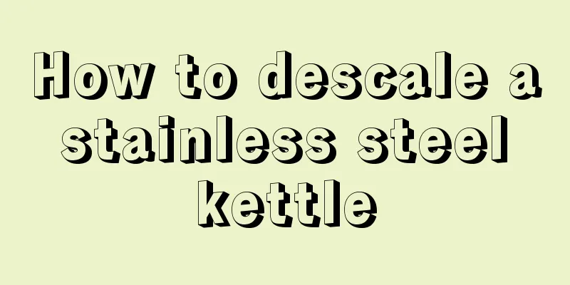 How to descale a stainless steel kettle