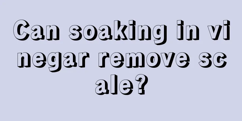 Can soaking in vinegar remove scale?