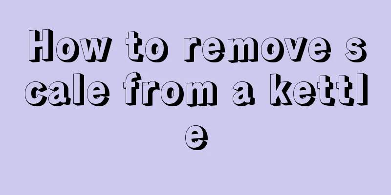 How to remove scale from a kettle