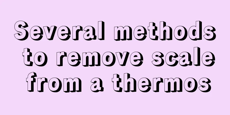 Several methods to remove scale from a thermos