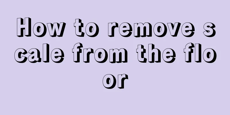 How to remove scale from the floor