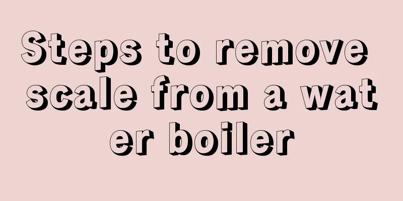 Steps to remove scale from a water boiler