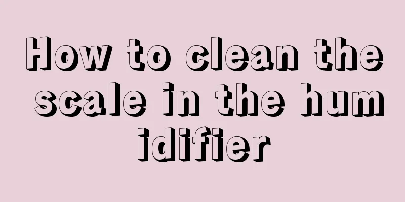 How to clean the scale in the humidifier