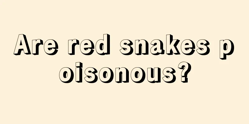 Are red snakes poisonous?
