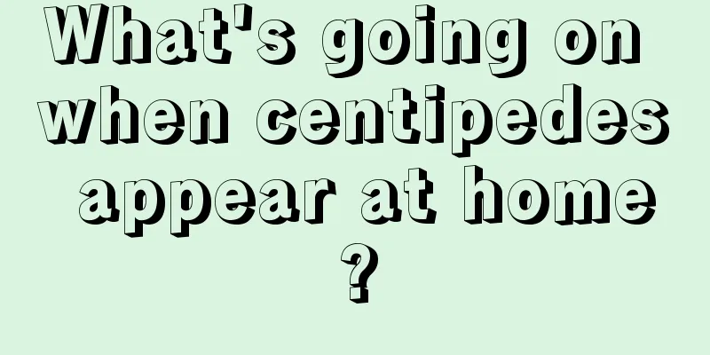 What's going on when centipedes appear at home?