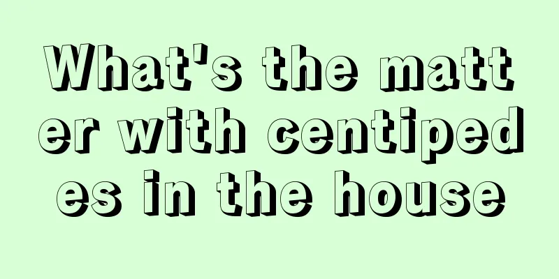 What's the matter with centipedes in the house