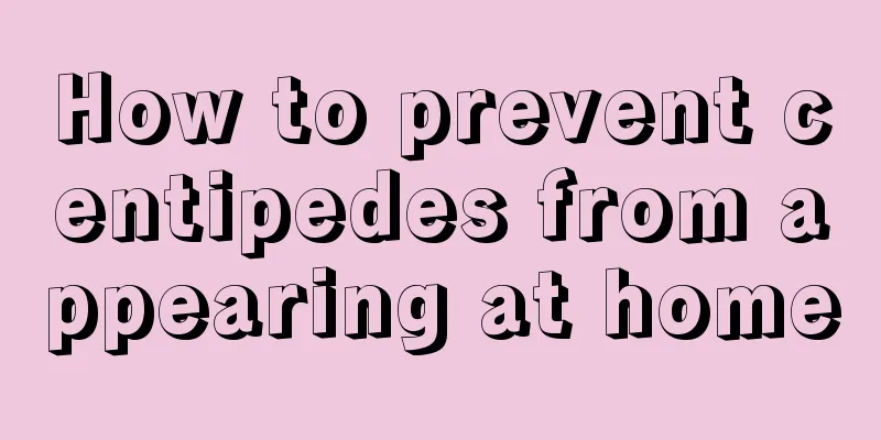 How to prevent centipedes from appearing at home