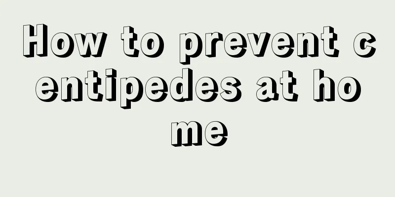 How to prevent centipedes at home