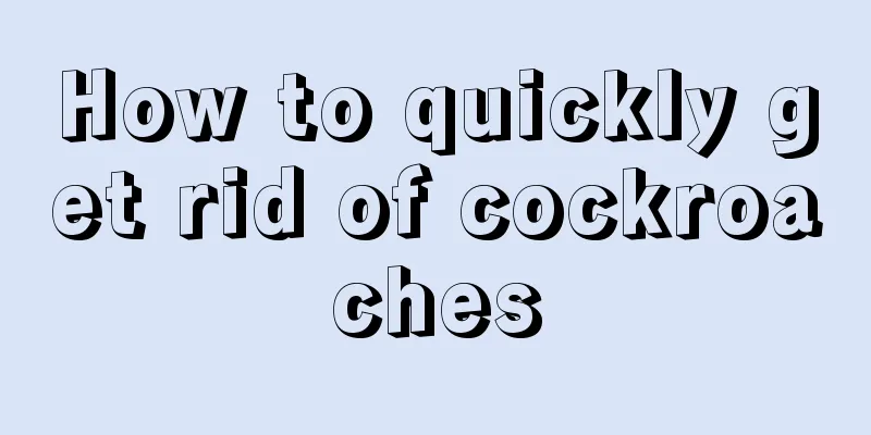 How to quickly get rid of cockroaches