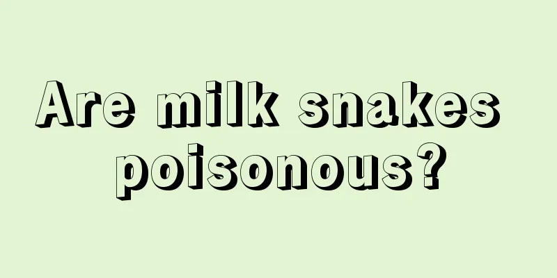 Are milk snakes poisonous?