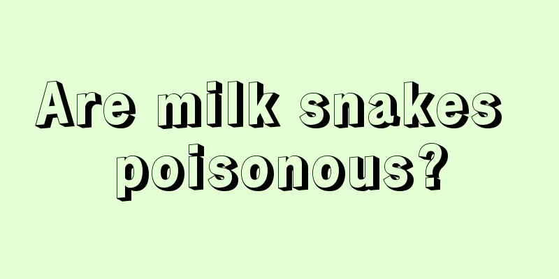 Are milk snakes poisonous?