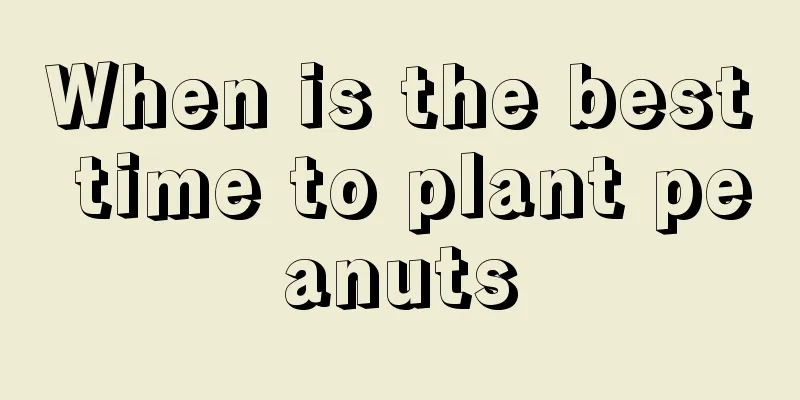 When is the best time to plant peanuts