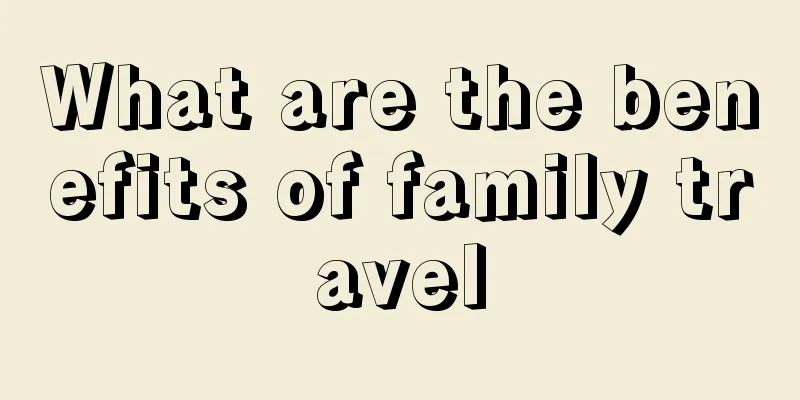 What are the benefits of family travel