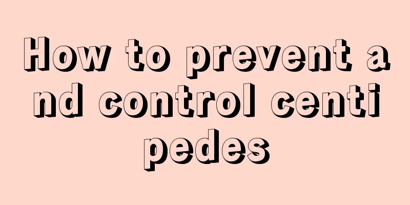 How to prevent and control centipedes