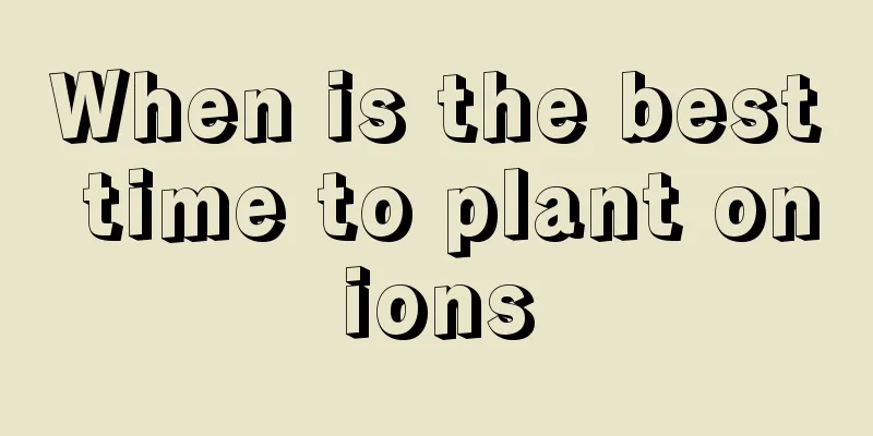 When is the best time to plant onions