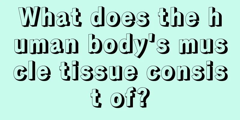 What does the human body's muscle tissue consist of?