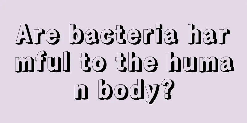 Are bacteria harmful to the human body?
