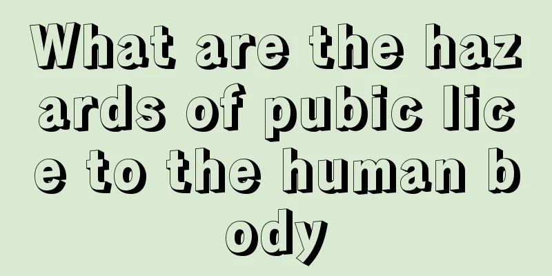 What are the hazards of pubic lice to the human body