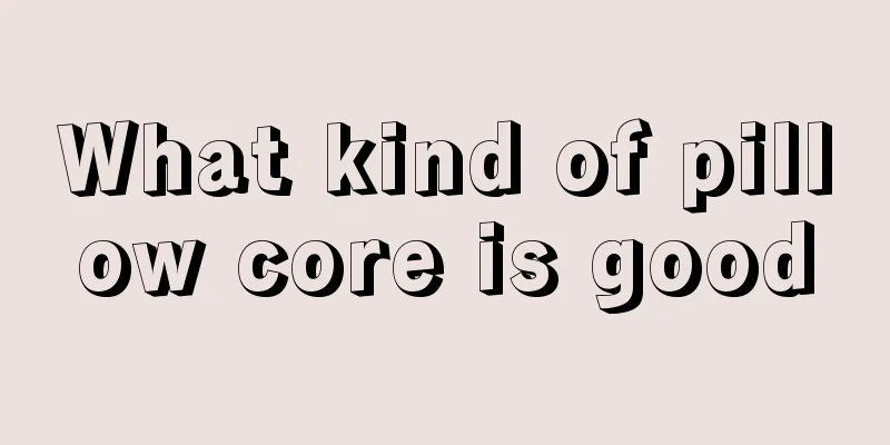 What kind of pillow core is good