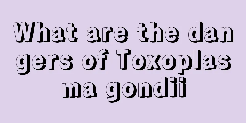 What are the dangers of Toxoplasma gondii