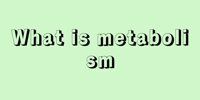 What is metabolism