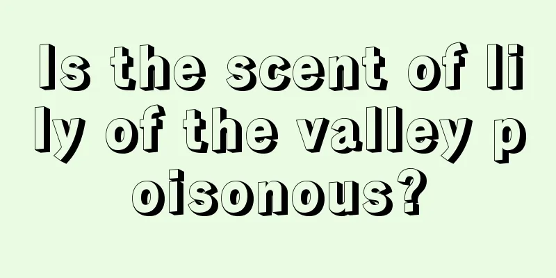 Is the scent of lily of the valley poisonous?