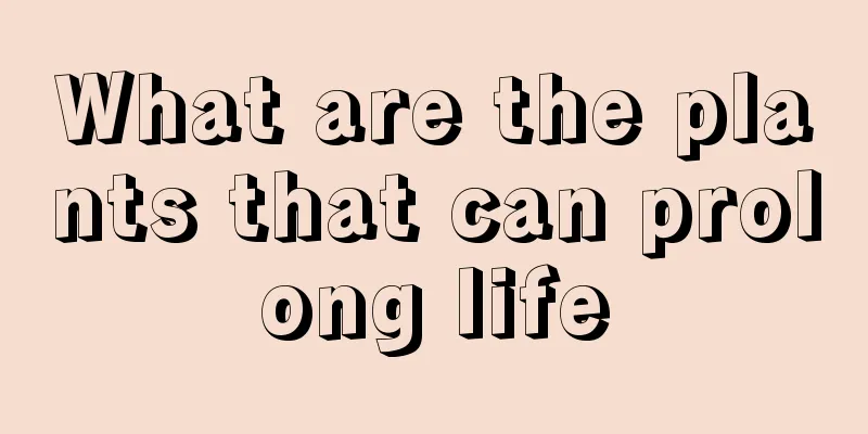 What are the plants that can prolong life