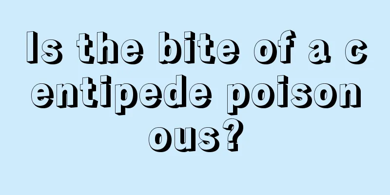 Is the bite of a centipede poisonous?