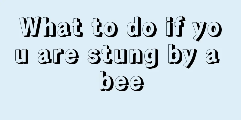 What to do if you are stung by a bee