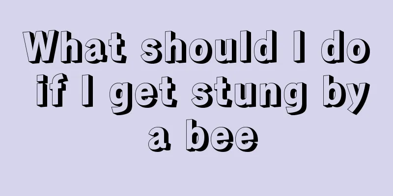 What should I do if I get stung by a bee