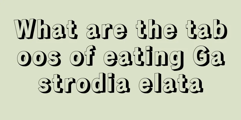 What are the taboos of eating Gastrodia elata