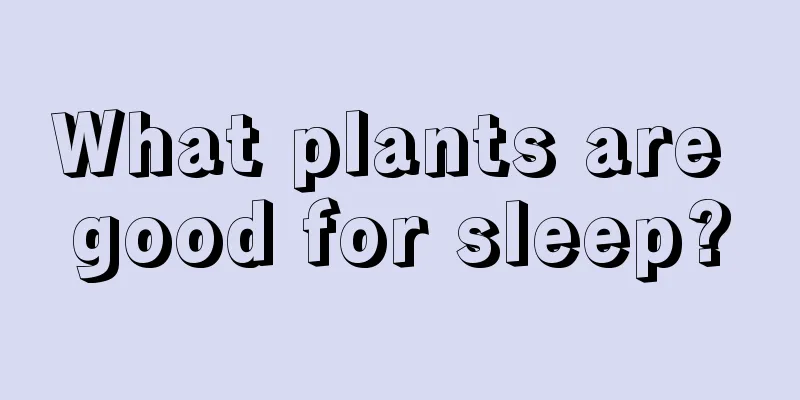 What plants are good for sleep?