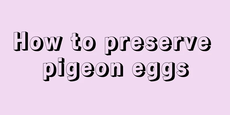 How to preserve pigeon eggs