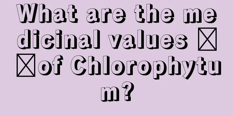 What are the medicinal values ​​of Chlorophytum?
