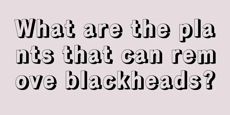 What are the plants that can remove blackheads?