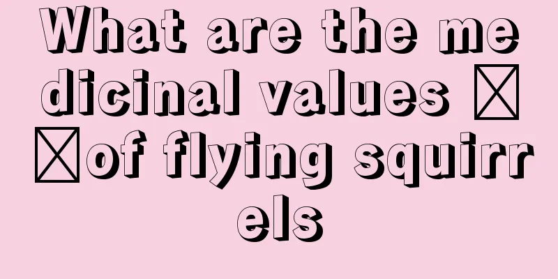 What are the medicinal values ​​of flying squirrels