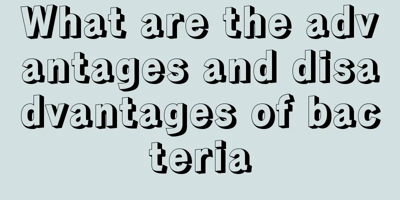 What are the advantages and disadvantages of bacteria