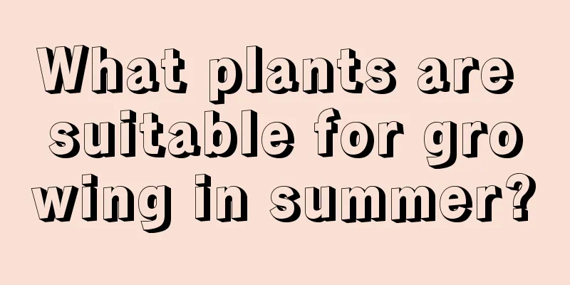 What plants are suitable for growing in summer?