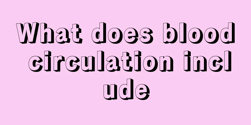 What does blood circulation include