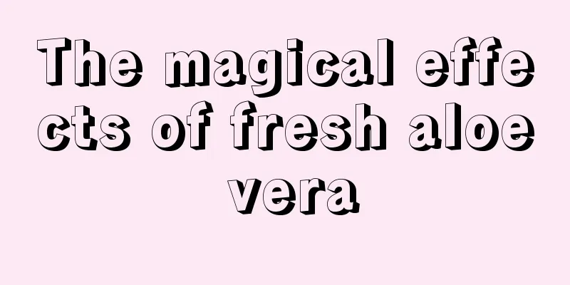 The magical effects of fresh aloe vera