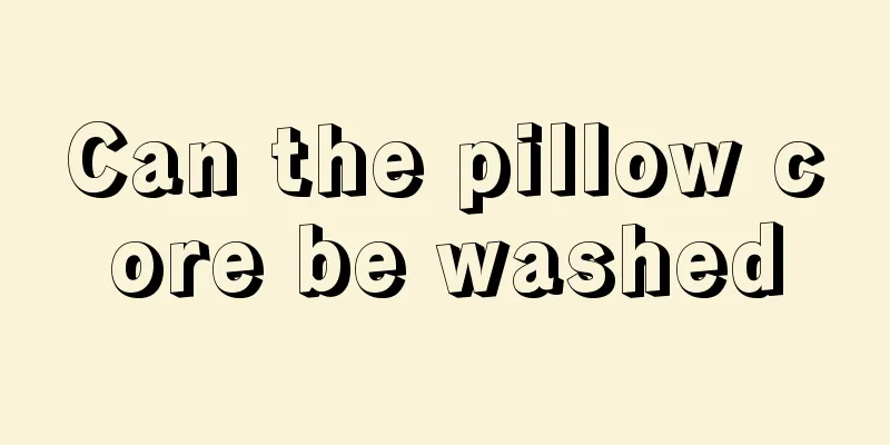 Can the pillow core be washed
