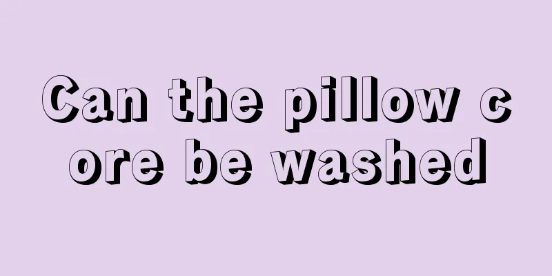 Can the pillow core be washed
