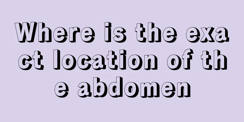 Where is the exact location of the abdomen