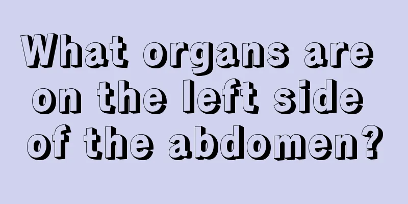 What organs are on the left side of the abdomen?