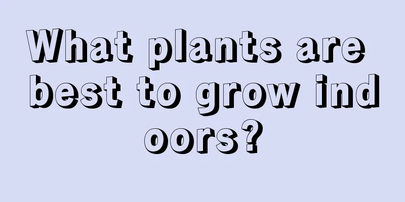What plants are best to grow indoors?