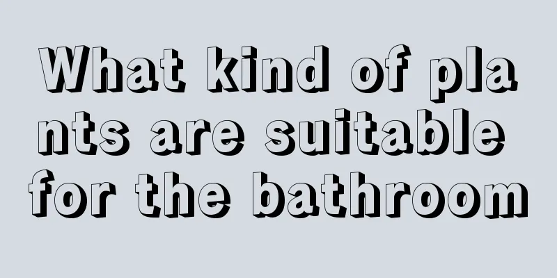 What kind of plants are suitable for the bathroom