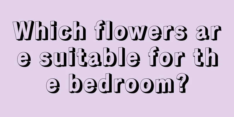 Which flowers are suitable for the bedroom?