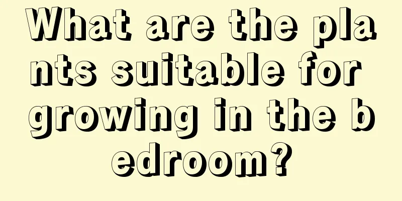 What are the plants suitable for growing in the bedroom?