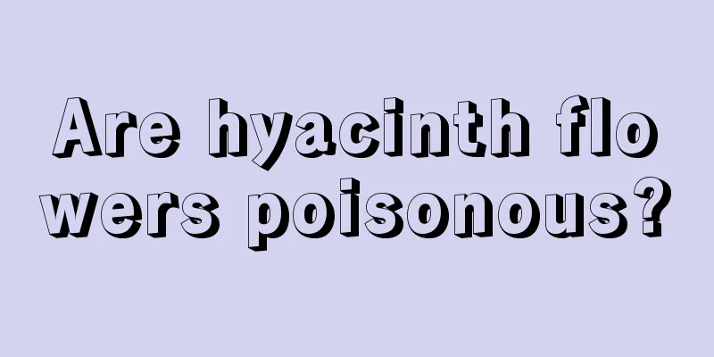 Are hyacinth flowers poisonous?