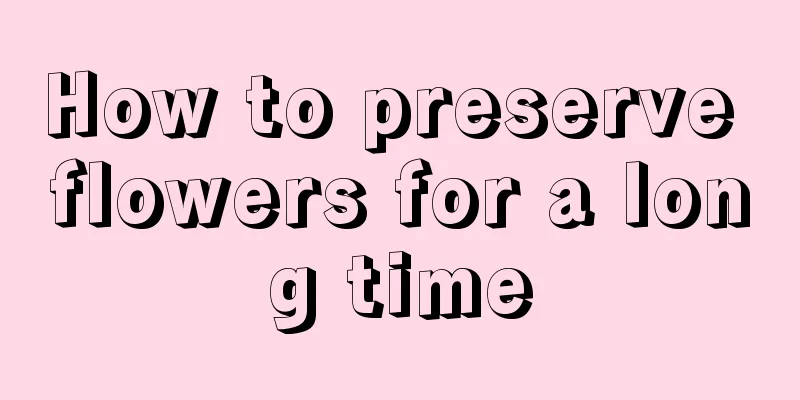 How to preserve flowers for a long time